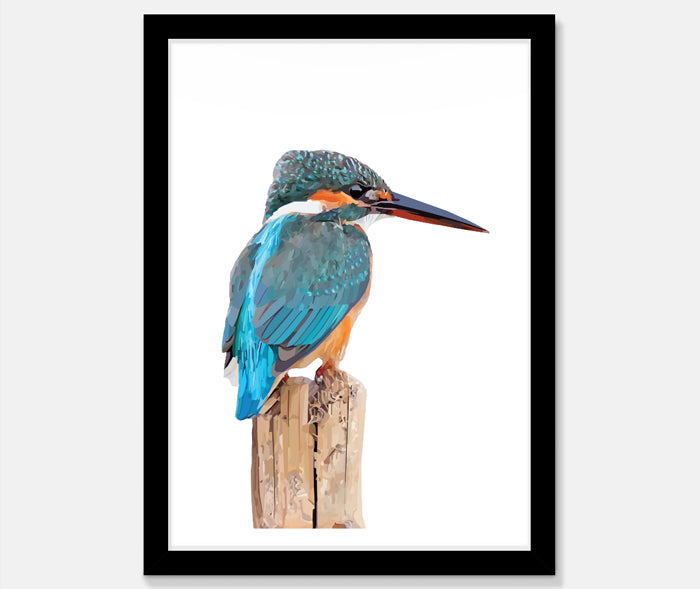 Kingfisher Art Print Your Decal Shop Wall Decal NZ