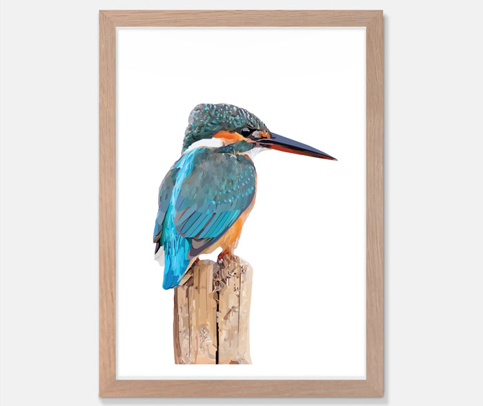 Kingfisher Art Print Your Decal Shop Wall Decal NZ