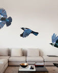 Tui in flight Wall Decal Your Decal Shop Wall Decal NZ