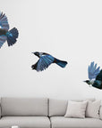 Tui in flight Wall Decal Your Decal Shop Wall Decal NZ