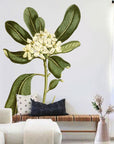 Glossy Leaved Pittosporum Wall Decal