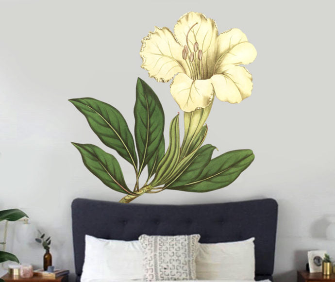 Great Flowered Solandra Wall Decal