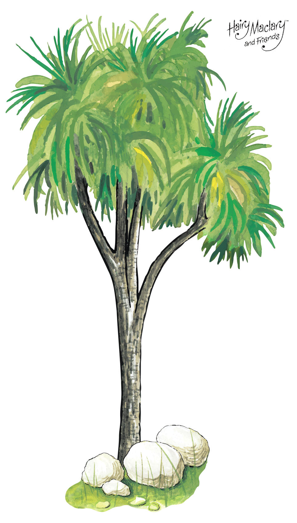 Hairy Maclary Cabbage Tree