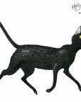 Slinky Malinki