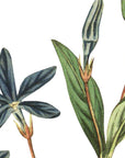Herbaceous Periwinkle Wall Decal