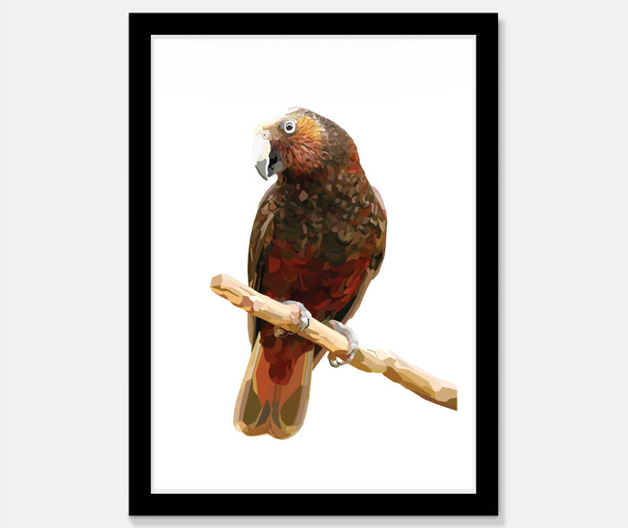 Kaka Art Print Your Decal Shop Wall Decal NZ