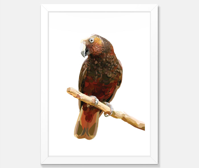 Kaka Art Print Your Decal Shop Wall Decal NZ