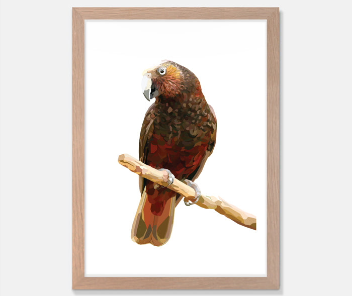 Kaka Art Print Your Decal Shop Wall Decal NZ