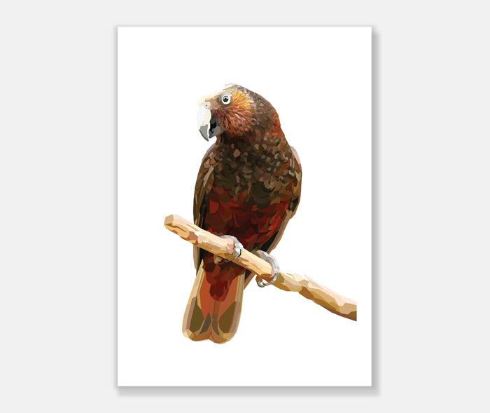 Kaka Art Print Your Decal Shop Wall Decal NZ