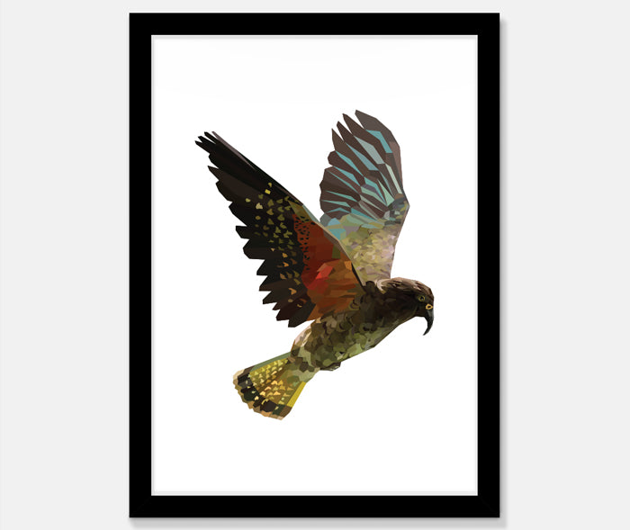 Kea Art Print Your Decal Shop Wall Decal NZ