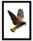 Kea Art Print Your Decal Shop Wall Decal NZ