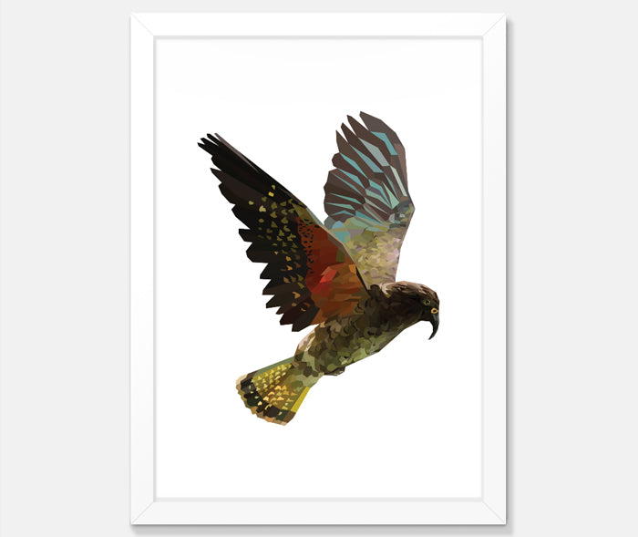 Kea Art Print Your Decal Shop Wall Decal NZ