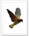 Kea Art Print Your Decal Shop Wall Decal NZ