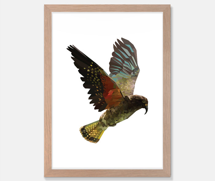 Kea Art Print Your Decal Shop Wall Decal NZ