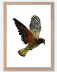 Kea Art Print Your Decal Shop Wall Decal NZ