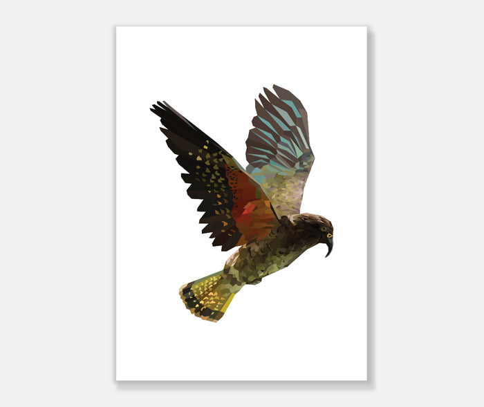Kea Art Print Your Decal Shop Wall Decal NZ