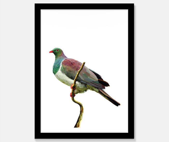 Kereru Art Print Your Decal Shop Wall Decal NZ