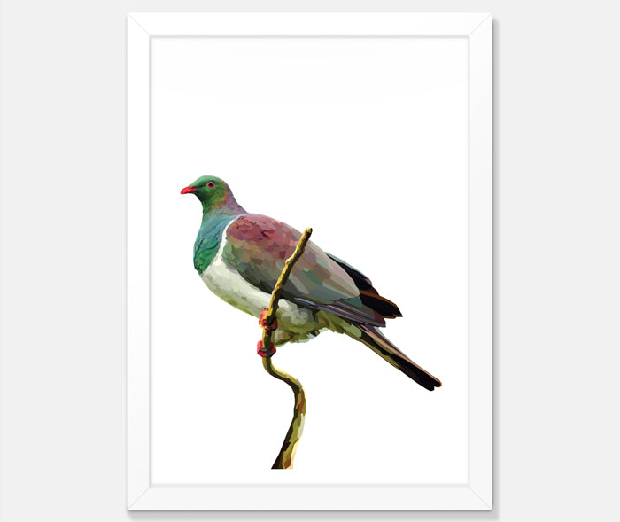 Kereru Art Print Your Decal Shop Wall Decal NZ