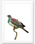 Kereru Art Print Your Decal Shop Wall Decal NZ