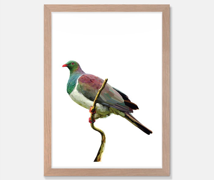 Kereru Art Print Your Decal Shop Wall Decal NZ
