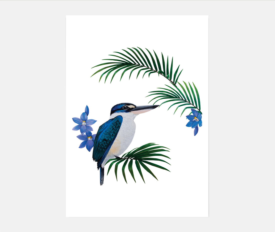 Artistic Series Kingfisher in Native Sun Orchids Art Print