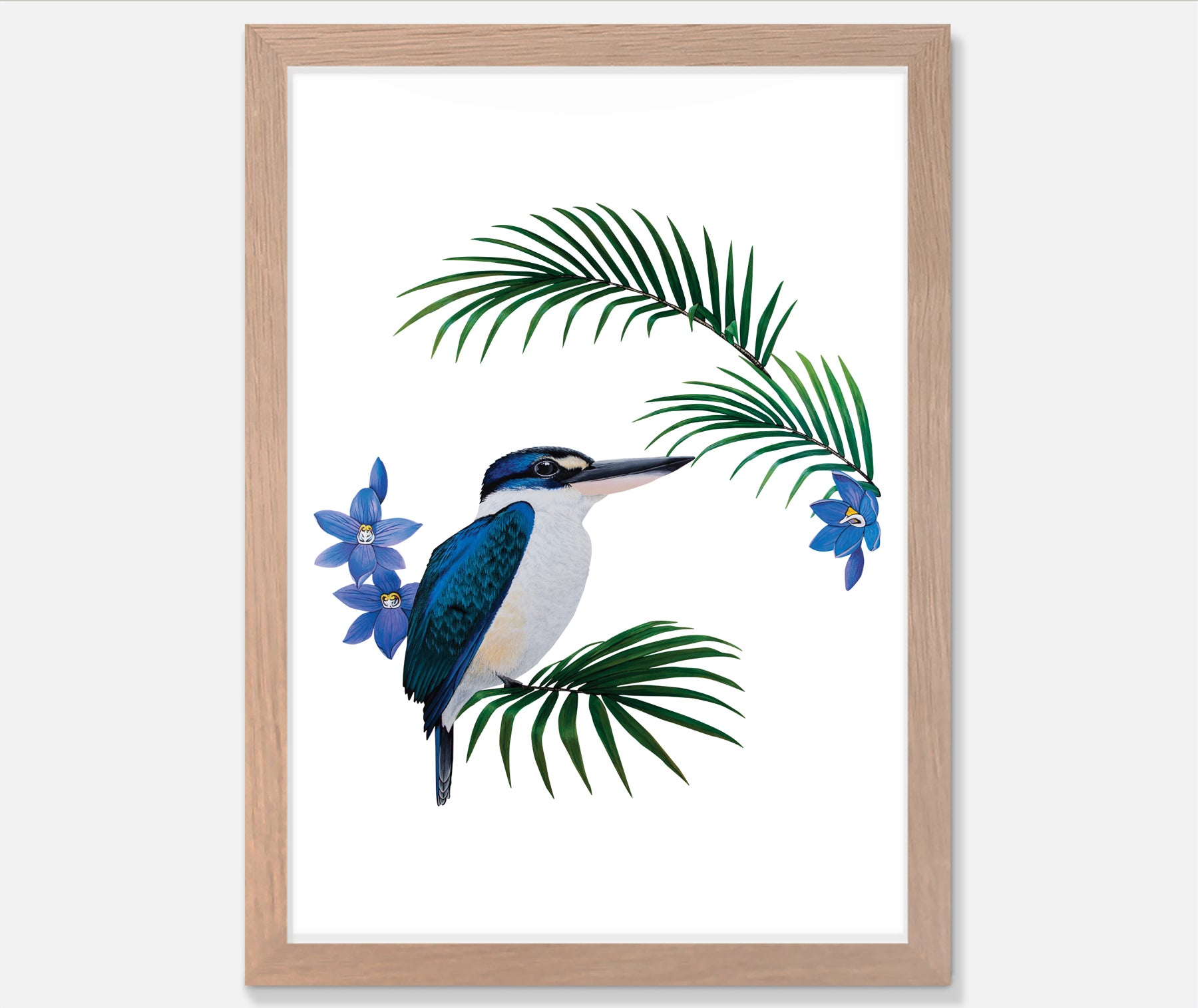 Artistic Series Kingfisher in Native Sun Orchids Art Print