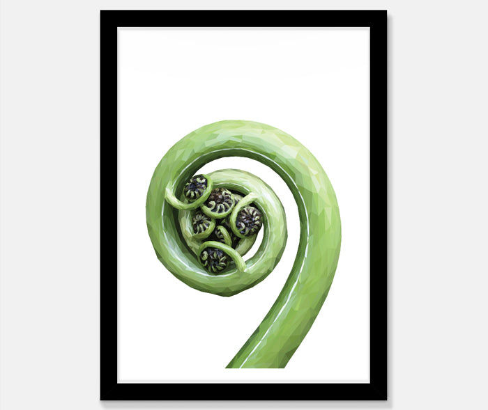 Koru Art Print Your Decal Shop Wall Decal NZ