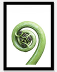 Koru Art Print Your Decal Shop Wall Decal NZ