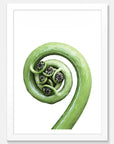Koru Art Print Your Decal Shop Wall Decal NZ