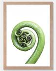 Koru Art Print Your Decal Shop Wall Decal NZ