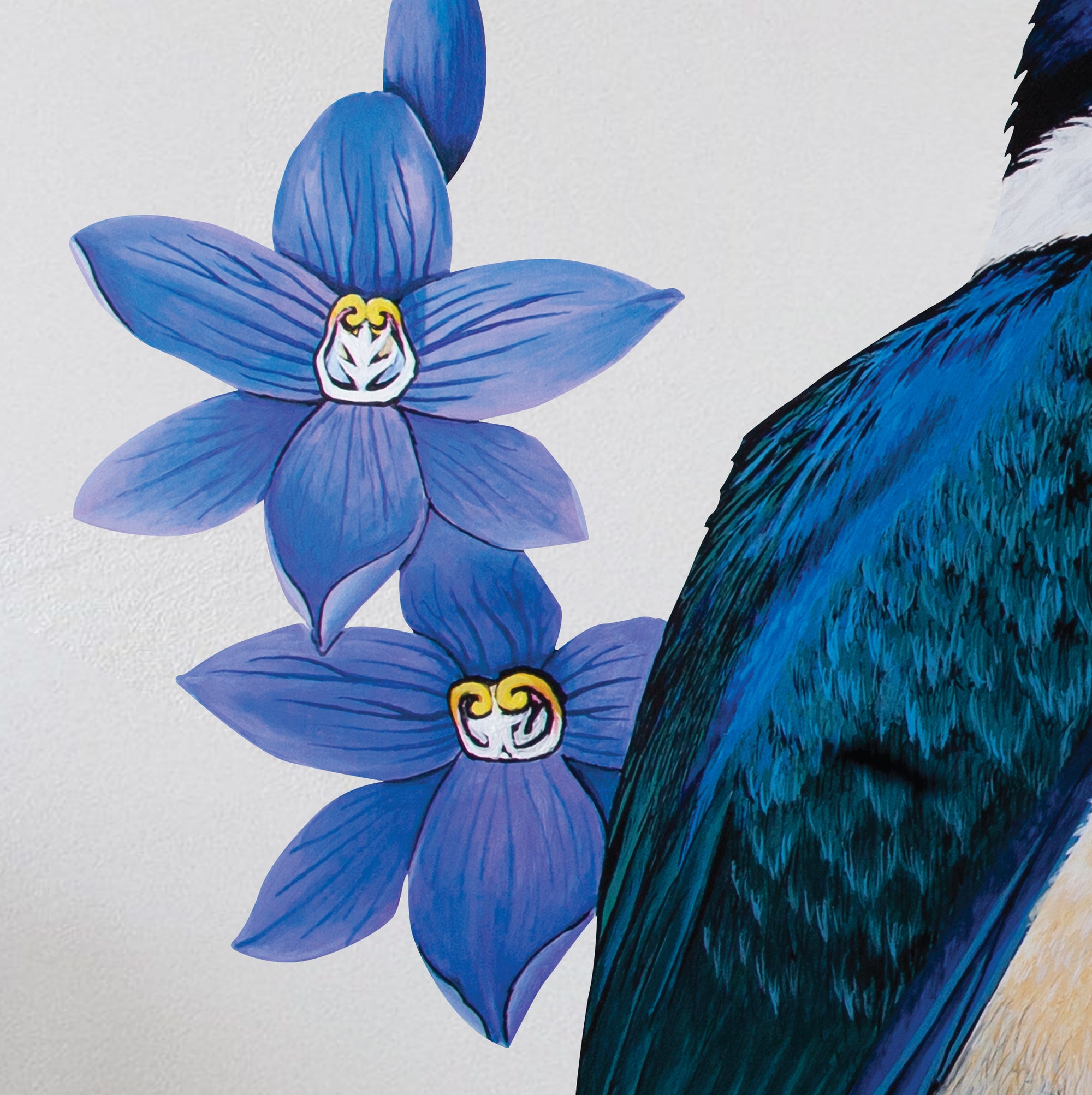 Kingfisher in Native Sun Orchids Wall Decal Your Decal Shop Wall Decal NZ