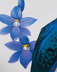 Kingfisher in Native Sun Orchids Wall Decal Your Decal Shop Wall Decal NZ