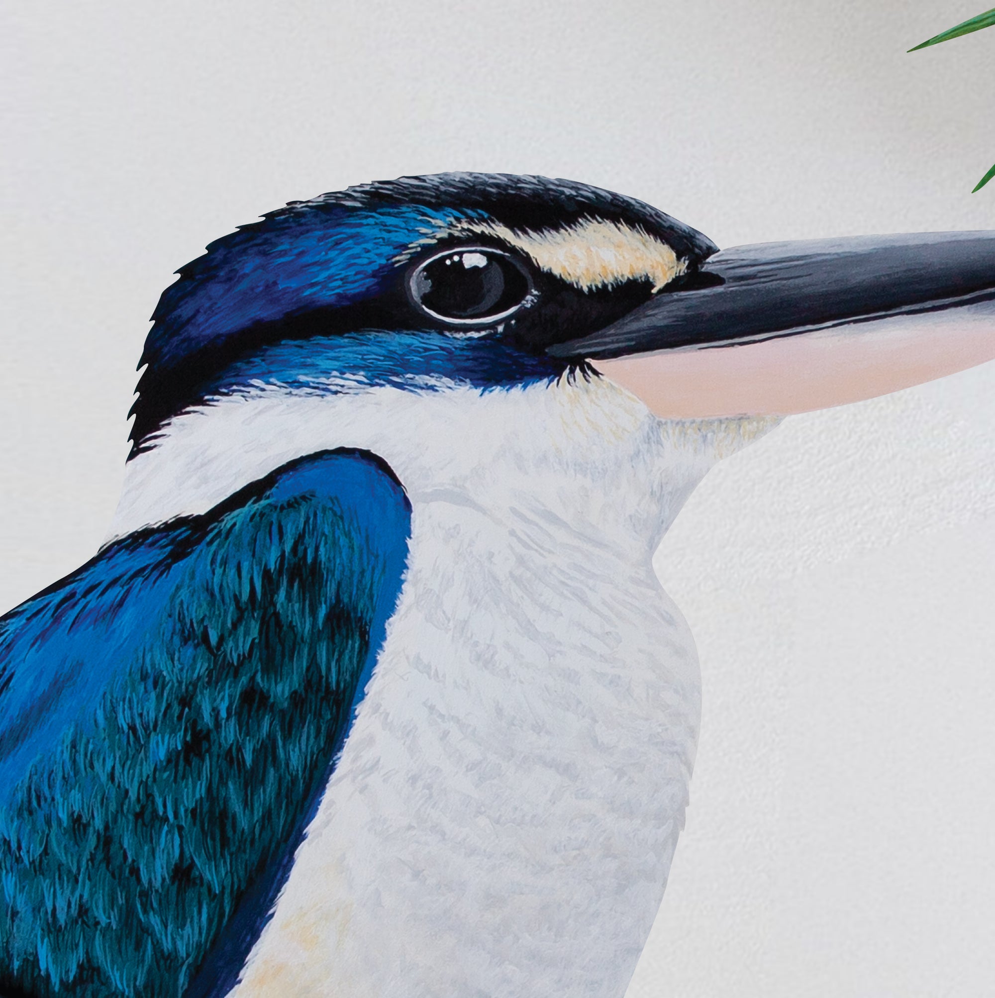 Kingfisher in Native Sun Orchids Wall Decal Your Decal Shop Wall Decal NZ