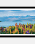 Lupins Art Print Your Decal Shop Wall Decal NZ