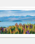 Lupins Art Print Your Decal Shop Wall Decal NZ
