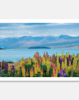 Lupins Art Print Your Decal Shop Wall Decal NZ