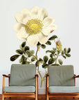 Macartnys Rose Wall Decal