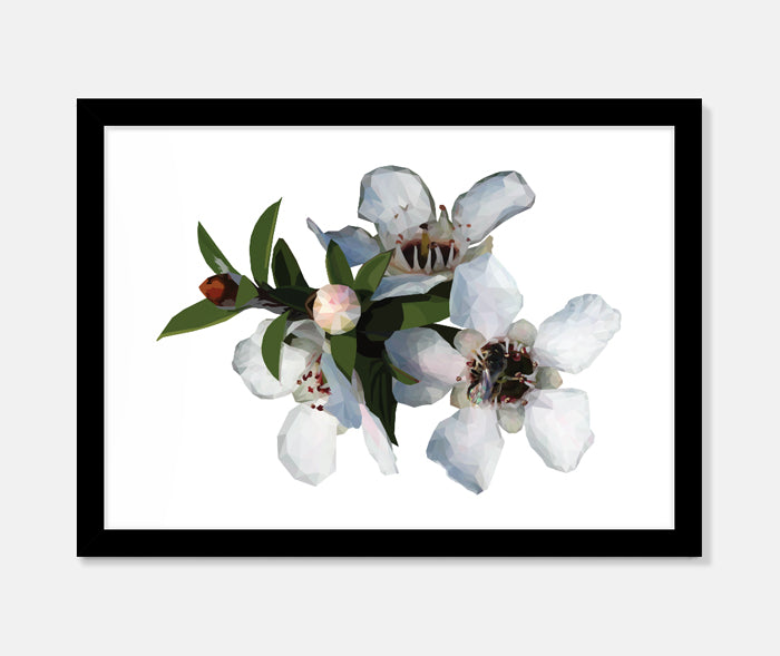 Manuka Flower Art Print Your Decal Shop Wall Decal NZ