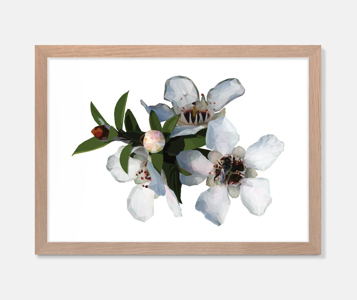 Manuka Flower Art Print Your Decal Shop Wall Decal NZ