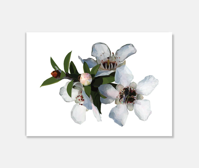 Manuka Flower Art Print Your Decal Shop Wall Decal NZ
