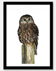 Morepork Art Print Your Decal Shop Wall Decal NZ