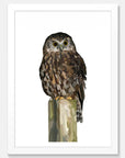 Morepork Art Print Your Decal Shop Wall Decal NZ