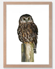 Morepork Art Print Your Decal Shop Wall Decal NZ