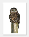Morepork Art Print Your Decal Shop Wall Decal NZ