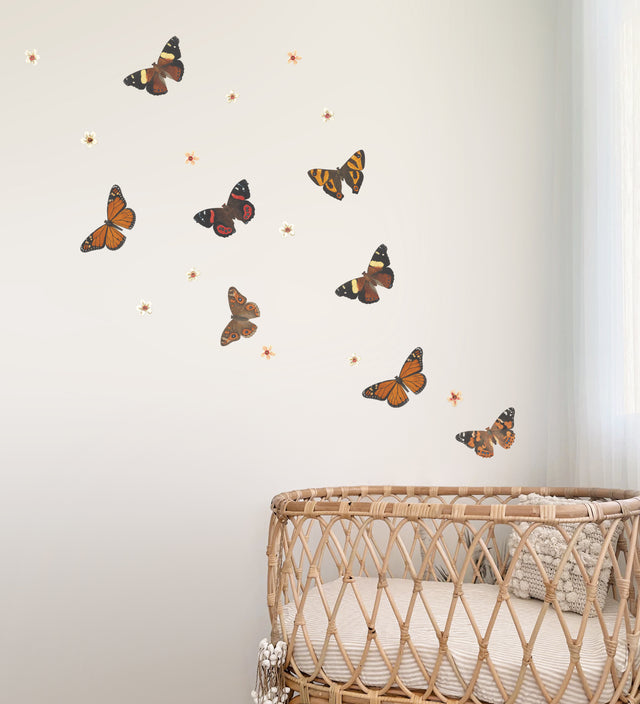 NZ Native Butterflies and Manuka Flowers