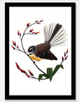 Artistic Series Fantail & Flax Art Print