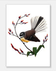 Artistic Series Fantail & Flax Art Print