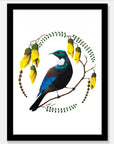 Artistic Series Tui in Kowhai Art Print