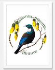 Tui in Kowhai Art Print Your Decal Shop Wall Decal NZ
