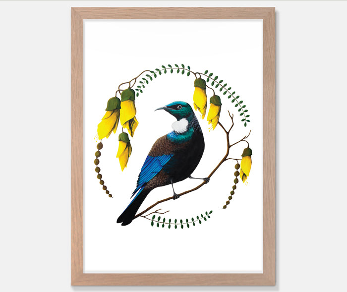 Tui in Kowhai Art Print Your Decal Shop Wall Decal NZ